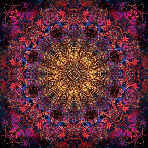 Olena Bilyk: Mandala