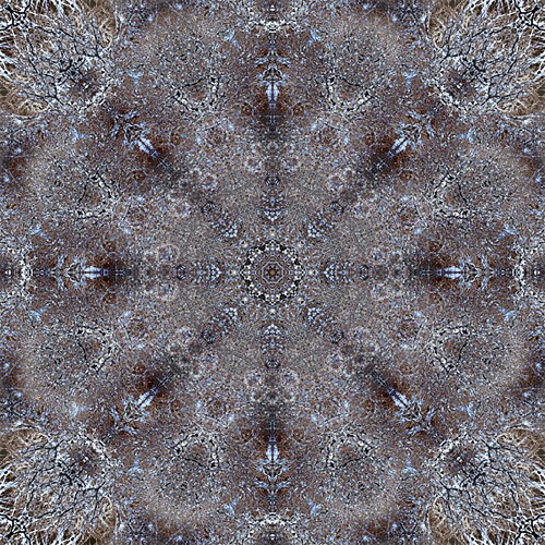 Olena Bilyk: Mandala