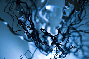 Olena Bilyk: Still Life