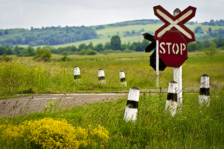 Olena Bilyk: Old Road Sign