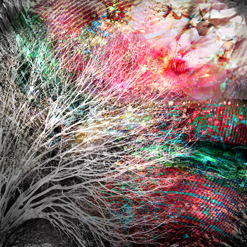 Olena Bilyk: Color Dreams