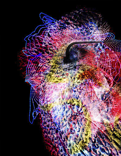 Olena Bilyk: Unknown